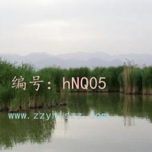Ȼ