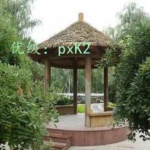 ѧ