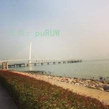 ˫